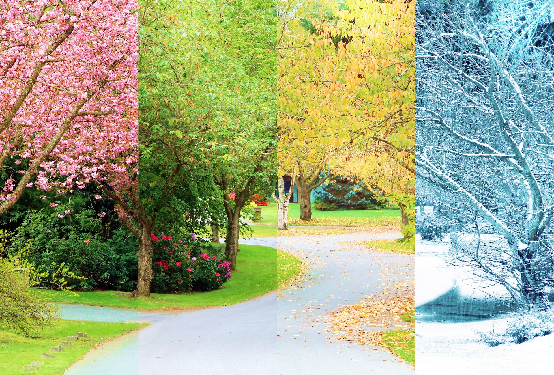How to Use Visuals in Your Seasonal Marketing - The Business Culture ...